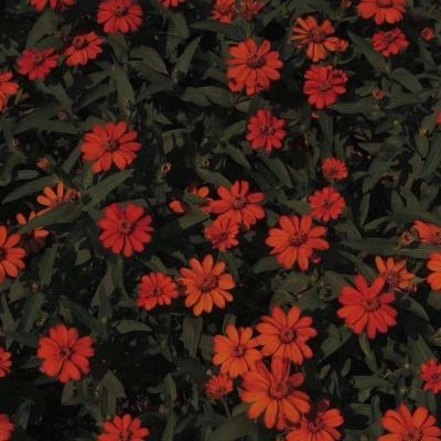 永乐国际手机app下载