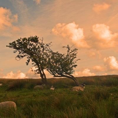 49图库一资料中心app下载