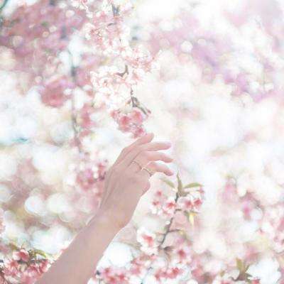 博鱼棋盘官方网站